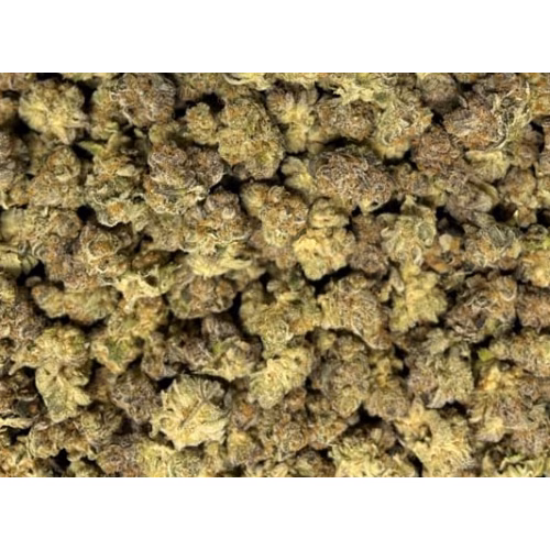 Elevator - Grape Kush