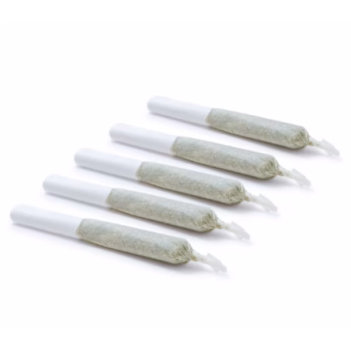 Astronaut Cannabis - NY Gas Berry Pre-Roll