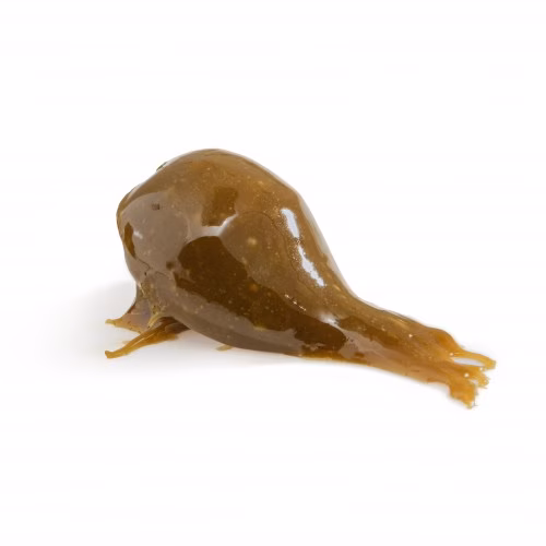 Sapphire OG Flower Rosin