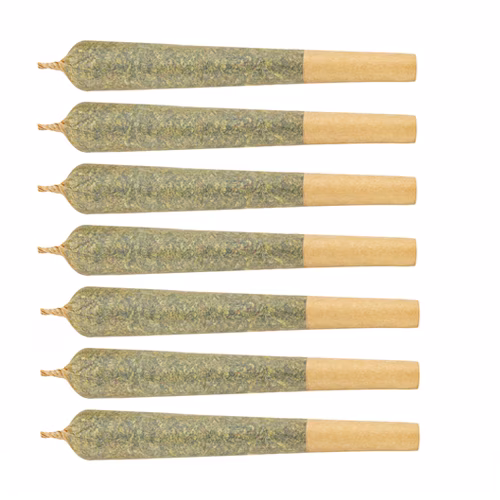 Camper Van Cannabis - Boardwalk Dreams