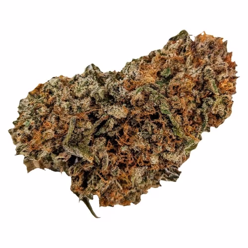Dirtbag - Mullet Rotating Sativa