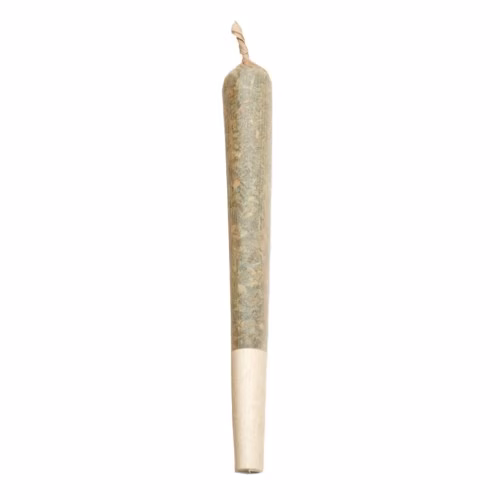 Zest Cannabis - Orange Kush Shatter Infused Pre-Rolls