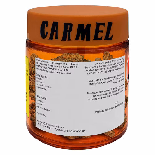 Carmel - Jelly Donut