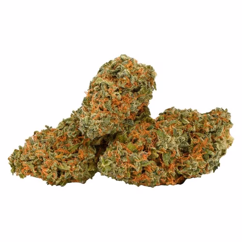 FRESH - Purple Gas Mask