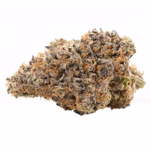 BLK MKT - Bacio Gelato #41
