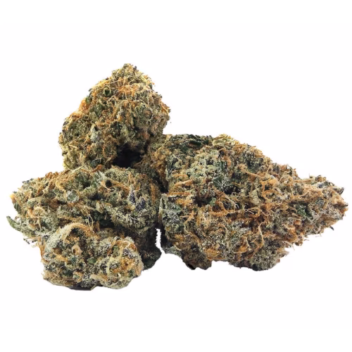 Pistol and Paris - AM/PM Dried Flower Mix Pack