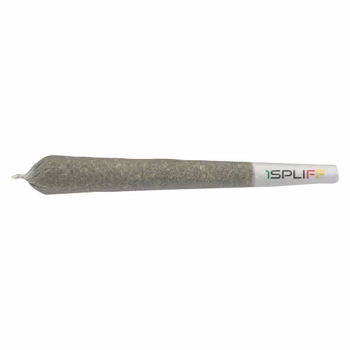 1SPLIFF - Biscotti
