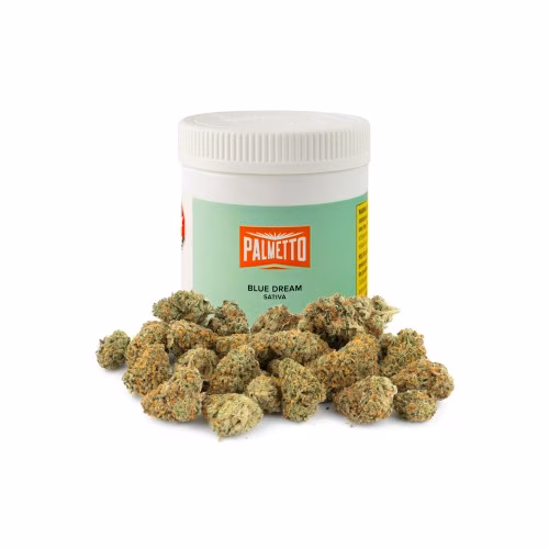 Palmetto - Blue Dream