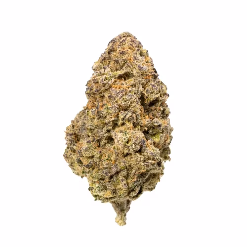 Elevator - Mango Melon