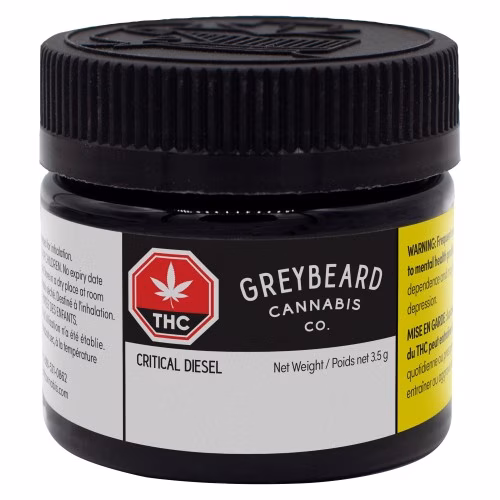 Greybeard - Critical Diesel