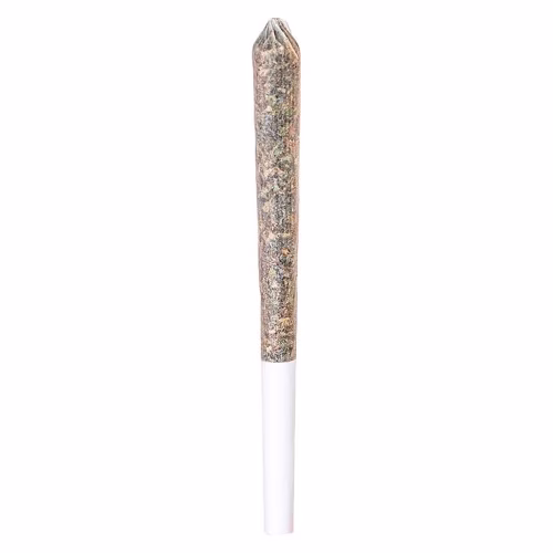 Station House - Trainwreck Single Pre-Roll
