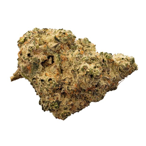 The Loud Plug - Lemon Gelato