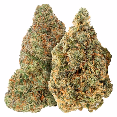 Carmel - Two Pack: Bubblegum Marker & Red Bullz