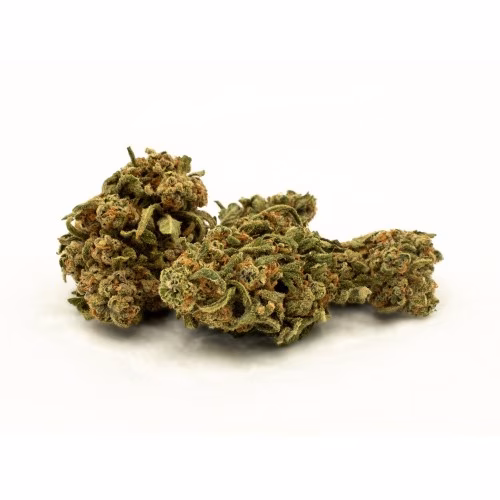 UP - Gelato 29