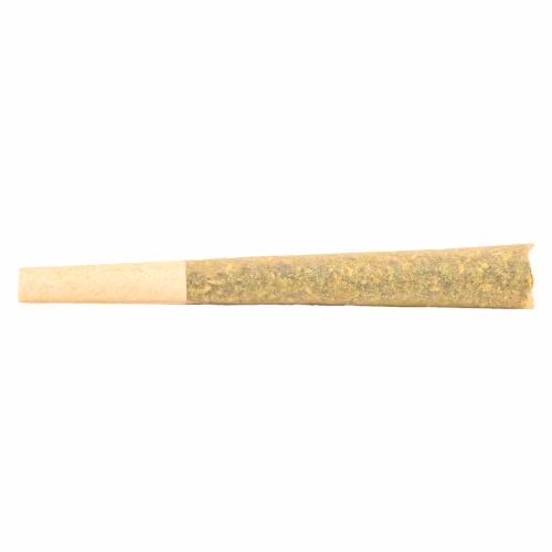Medellin Pre-Roll