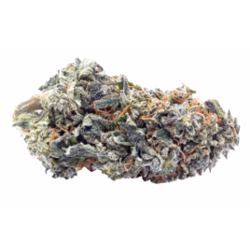 Terp Town Collective - Frosty Melonz