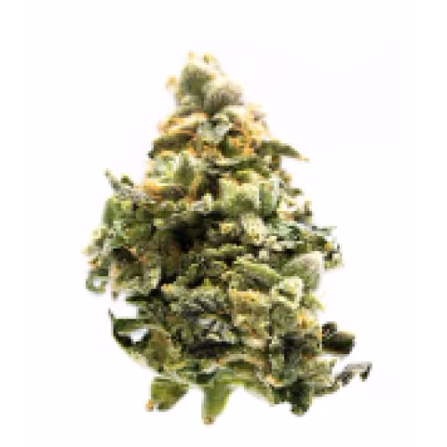 Western Cannabis - Multipack of Madness