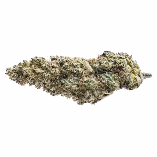 Blue Dream #16