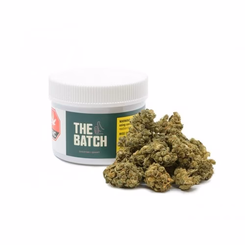 The Batch - Quarter