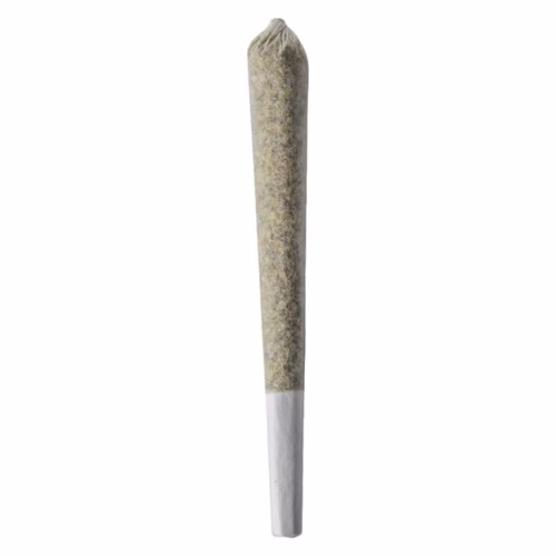 TABLE TOP - Durban Lime