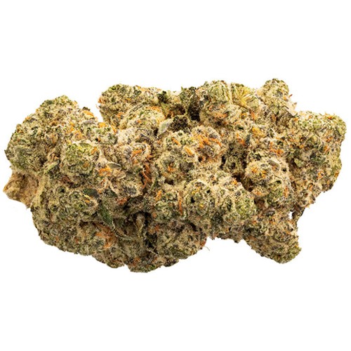 The Loud Plug - Lemon Gelato