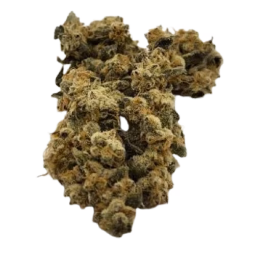 daydream - Raspberry Glue