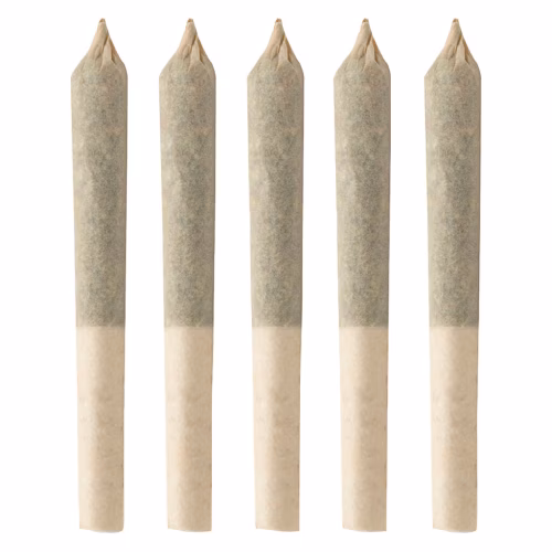 BC Organic Harlequin - THC:CBD 1:1