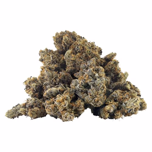 BC OZ - Zlushiez Craft