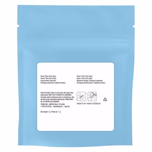 Doja - Lime MAC