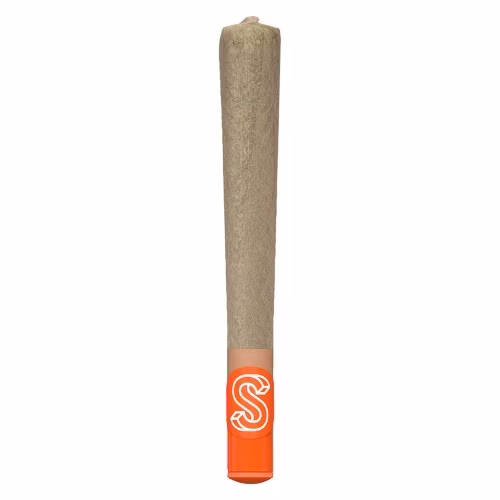 Sherbinskis - The New New Pre-Roll