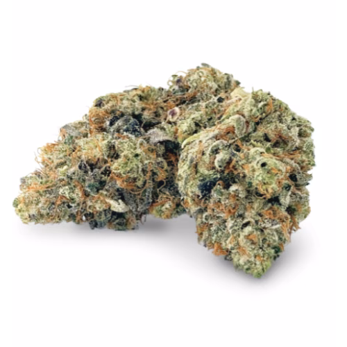 BC Black - Triangle Kush