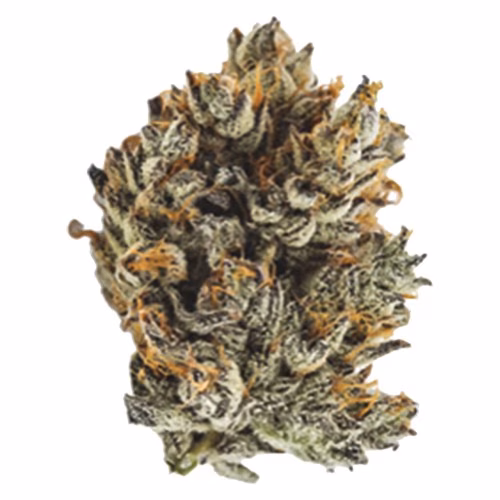 Thumbs Up - OGKB x Lost Sailor x Platinum Kush