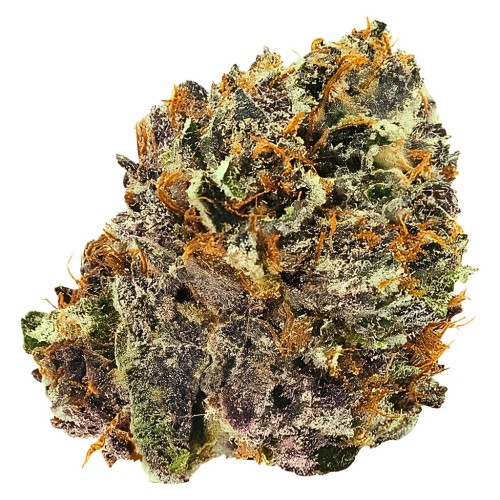 KWALL - TF Pink Kush