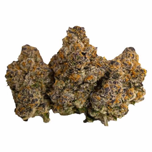 Royal Cannabis Supply Co. - White Hot Guava