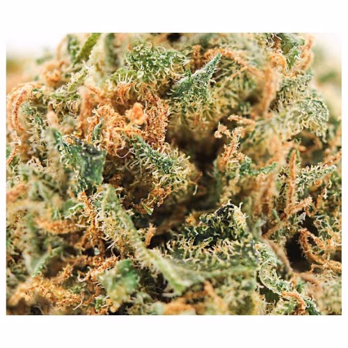 Spinach - Blueberry
