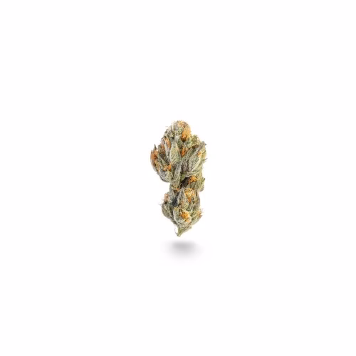 Jonny Chronic - OG Kush Reefers