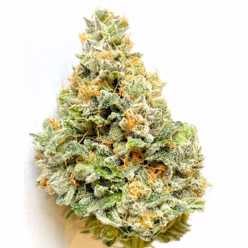 MIDS - Cherry Pie