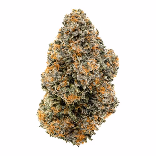 1964 - Organic Gelato #41
