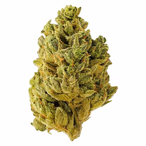 Tantalus Labs - Pacific OG