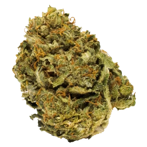 THC BioMed - CBD Pumpkin Spice