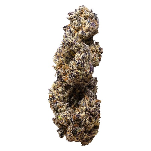 3rd Coast Genetics - Breeders Choice - Max Cuts