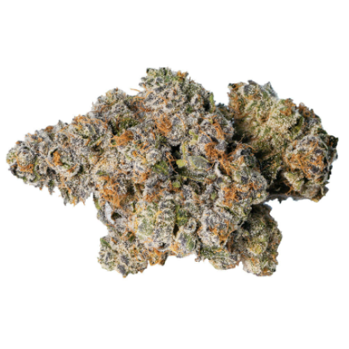 LOT420 - Gelato 33