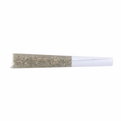The Loud Plug - Venom OG