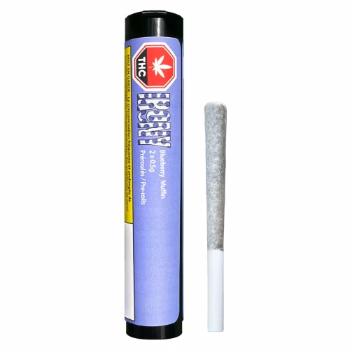Irony - Blueberry Muffin - Pre-Rolls