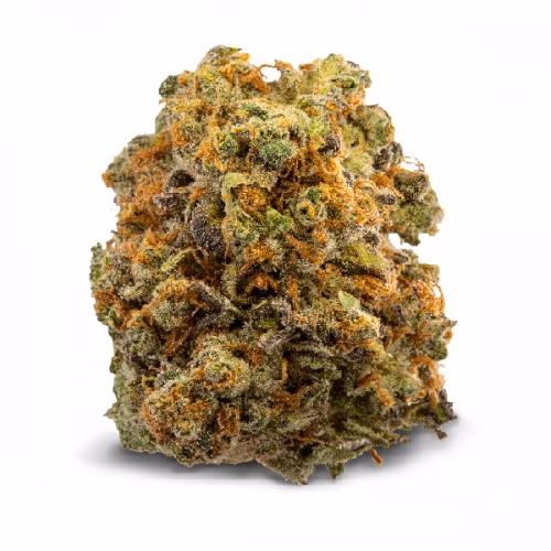 Spinach - White Widow