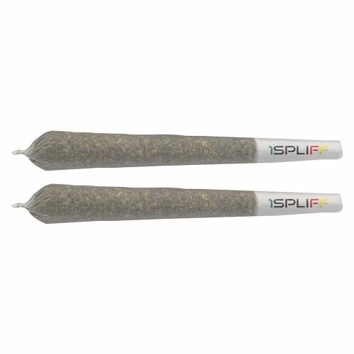 1SPLIFF - Biscotti