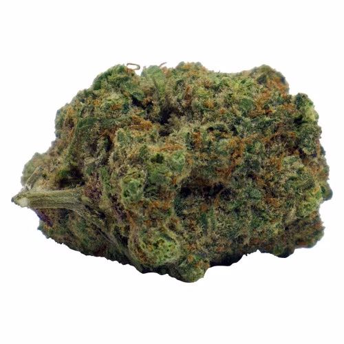 Blood Orange Kush