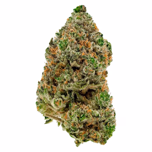 BC Organic Hibachi Blue