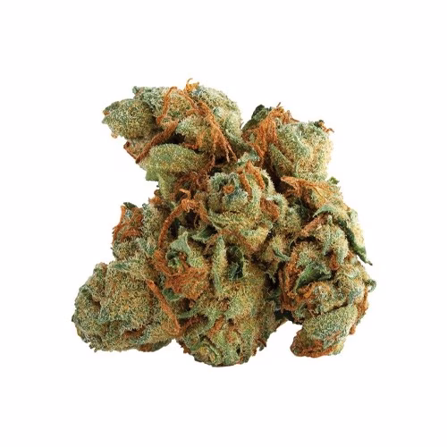 Spinach - Tangerine Twist