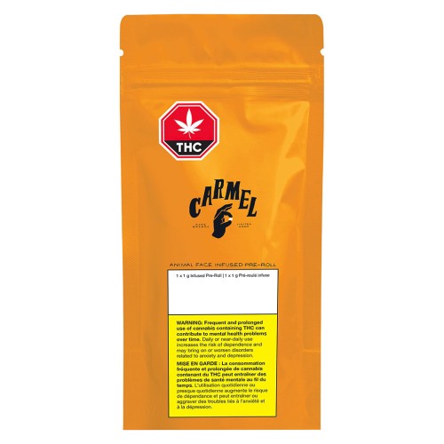 Animal Face Infused image 2